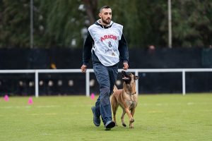 Mucho más que adiestrador canino: el curso de la escuela Nadog para un conocimiento 360